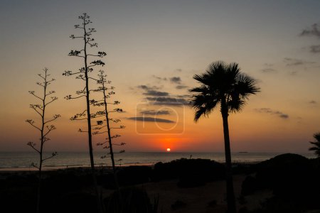 Photo for Sunset on the Beach of Barrosa, Cadiz, Spain - Royalty Free Image
