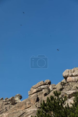 Photo for Panoramic view of a boy observing the mountains in the Pedriza Regional Park. - Royalty Free Image