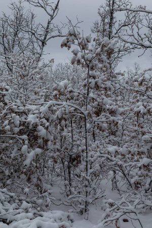 Téléchargez les photos : Environs de l'Ermitage d'Hontanares à Riaza, Ségovie, avec le sol couvert de neige - en image libre de droit