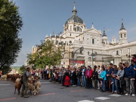 Téléchargez les photos : Le festival traditionnel Trashumancia tenu dans les rues de Madrid - en image libre de droit