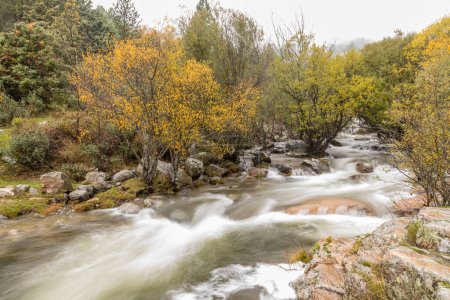 Téléchargez les photos : Torrent d'eau de la rivière Manzanares dans la région de Pedriza à Madrid - en image libre de droit