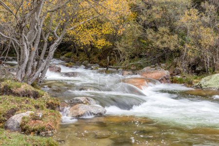 Torrente de agua del río Manzanares en la zona de Pedriza de Madrid