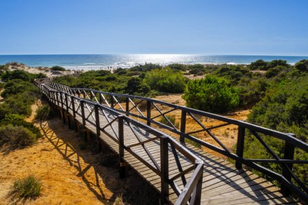 Wooden walkway that gives access to La Barrosa beach in Sancti Petri, Cadiz