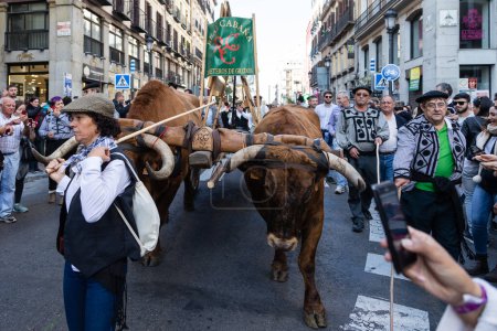Téléchargez les photos : Groupes folkloriques au festival traditionnel Transhumancia tenu dans les rues de Madrid - en image libre de droit