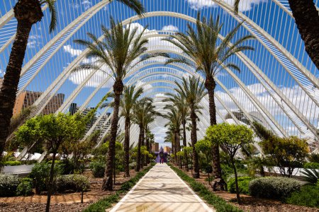 Photo for Panoramic view at the Buildings of City of Arts and Sciences in Valencia, Spain - Royalty Free Image