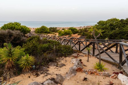 Photo for La Barrosa beach in Sancti Petri, in the town of Chiclana de la Frontera in Cadiz, seen at sunrise - Royalty Free Image