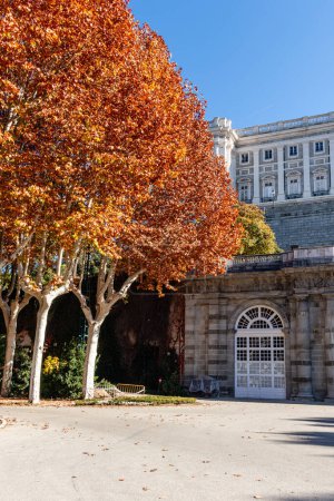 Téléchargez les photos : Madrid, Espagne - 19 novembre 2023 : automne dans les jardins appelés Campo del Moro sur les rives de la rivière Mnazanares à Madrid, Espagne - en image libre de droit