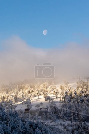 Photo for Mountain landscape in the Sierra de Guadarrama of Madrid covered by fog - Royalty Free Image