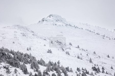 Photo for Snowy landscapes of Puerto de Cotos in the Sierra de Guadarrama in Madrid in the month of March 2024 - Royalty Free Image