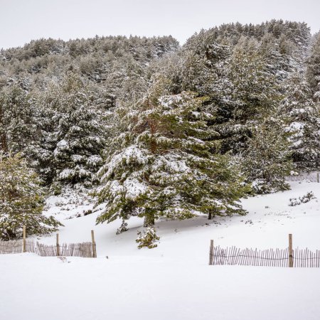Schneelandschaften von Puerto de Cotos in der Sierra de Guadarrama in Madrid im März 2024