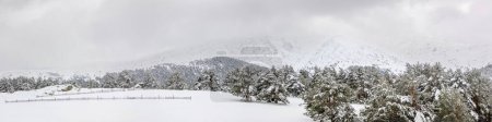 Photo for Snowy landscapes of Puerto de Cotos in the Sierra de Guadarrama in Madrid in the month of March 2024 - Royalty Free Image