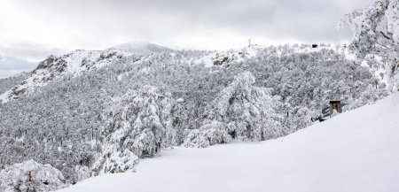 Photo for Snowy landscapes of Puerto de Navacerrada in the Sierra de Guadarrama in Madrid in the month of March 2024 - Royalty Free Image