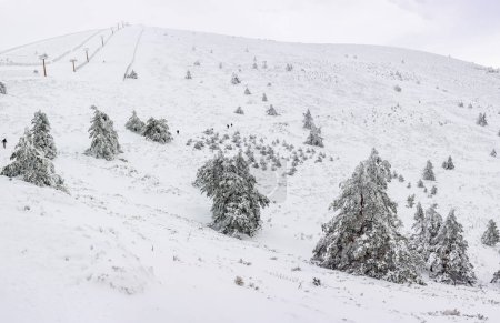 Schneelandschaften von Puerto de Navacerrada in der Sierra de Guadarrama in Madrid im März 2024