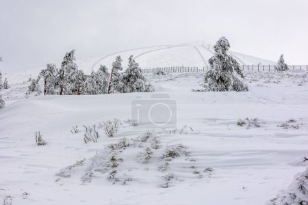 snowy landscapes of Puerto de Navacerrada in the Sierra de Guadarrama in Madrid in the month of March 2024