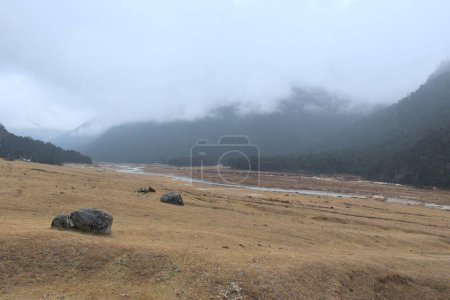 Foto de Panoramic landscape view of beautiful Yumthang valley or Sikkim Valley of Flowers sanctuary with snowfall on a hazy winter day. It is a popular tourist attraction in North Sikkim, Sikkim, India - Imagen libre de derechos