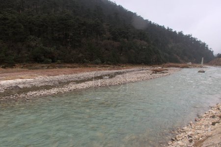 Foto de Panoramic landscape view of beautiful Teesta river with snowfall and pine forests on a foggy winter day at Yumthang valley. It is the largest river in Sikkim, India. It is famous for river rafting. - Imagen libre de derechos