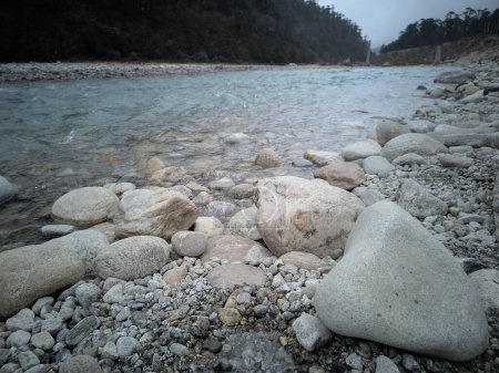 Foto de Low angle view of beautiful rocky Teesta river with snowfall and pine forests on a foggy winter day at Yumthang valley. It is the largest river in Sikkim, India. It is famous for river rafting. - Imagen libre de derechos