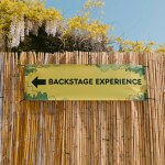 Backstage Experience label in a music festival. High quality photo