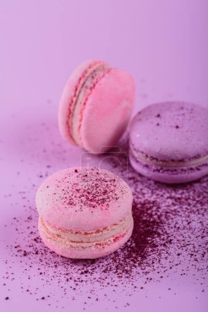 Pastel colored sweet french macaroons and splash of dry blueberry powder on pink background. Beautiful composition for bakery and pastry shop
