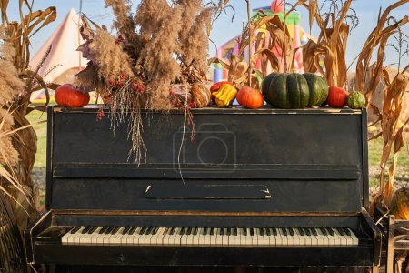 Photo for Old broken piano decorated with dry blade of grass and pumpkins at warm autumn day. Front view of hay bales, pumpkins and cornstalks decorate front of black piano in autumn. Concept of autumn beauty. - Royalty Free Image