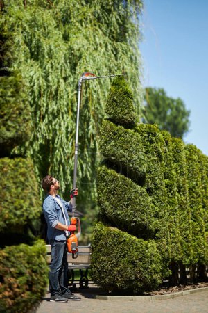 Photo for Dark haired gardener in shirt using electric hedge trimmer for shaping conifer tree outdoors. Side view of skillful male worker cutting top of thuja by using rod bush cutter. Concept of gardening. - Royalty Free Image