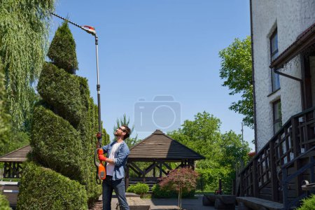 Skilful gardener using high-altitude hedge trimmer while shaping bush in topiary garden. Side view of smiling man cutting top of conifer tree with pro equipment in summer day. Concept of topiary. 