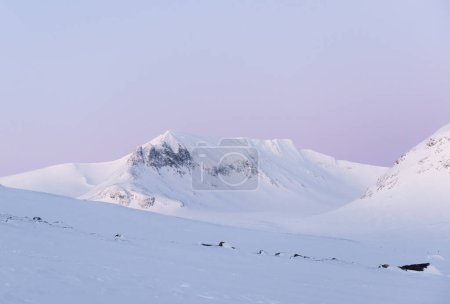 Photo for A purple dawn sky above white, snow-covered mountains in the Swedish backcountry - Royalty Free Image