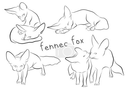 fennec fox set contorno ilustración vector elementos para el diseño