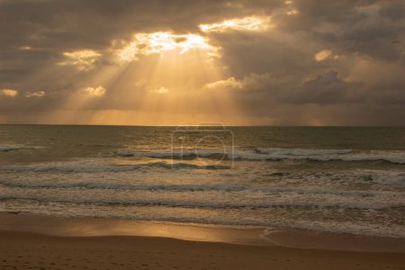 Les gens s'amusent à la plage brésilienne du lever du soleil en octobre 2022, Porto de Galinhas, Brésil.