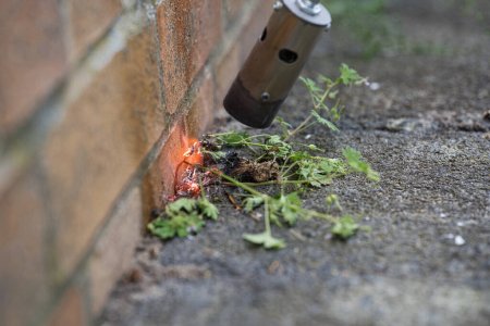 Eliminación de malas hierbas con un quemador de gas entre la pared de la casa y las losas de la acera