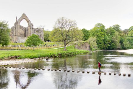 Téléchargez les photos : Une fille traversant des marches sur une rivière avec des ruines d'abbaye en arrière-plan Yorkshire Dales Royaume-Uni - en image libre de droit