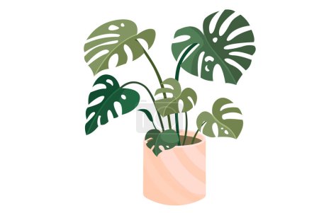 Téléchargez les illustrations : Illustration vectorielle plantes en pot pour l'intérieur. Isolé sur fond blanc. - en licence libre de droit