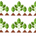 Bio nature green eco vector symbols business template. Illustration of bio eco green, nature environment