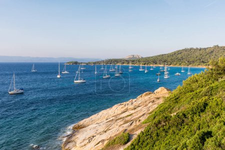 Téléchargez les photos : Vue panoramique de l'île de Porquerolles dans le sud de la France en été - en image libre de droit