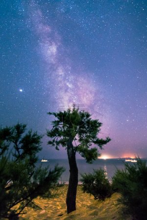 Foto de Vista panorámica de la Vía Láctea en la bahía de Saint Tropez en una noche de verano - Imagen libre de derechos