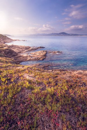 Téléchargez les photos : Scenic view of Mediterranean landscape in Saint Tropez bay area in south of France against dramatic summer sky - en image libre de droit