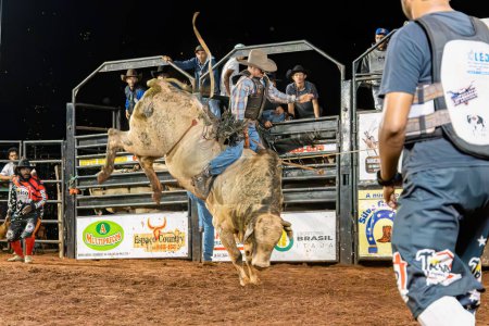 Photo for Itaja, Goias, Brazil - 04 21 2023: cowboy man riding a bull practicing bull riding at a rodeo - Royalty Free Image