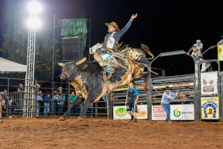 Photo for Itaja, Goias, Brazil - 04 22 2023: cowboy man riding a bull practicing bull riding at a rodeo - Royalty Free Image