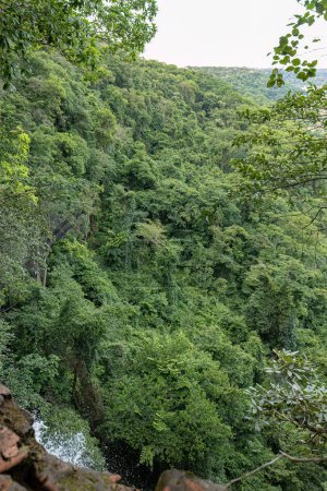 Foto de Verde bosque mirador vista superior de una cascada alta - Imagen libre de derechos