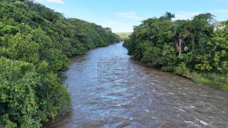 Téléchargez les photos : Image aérienne de la rivière Apore avec eau brune et forêt riveraine pendant la journée - en image libre de droit