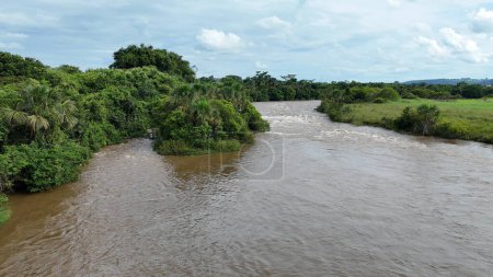 Aerial image of the apore river with brown water and riparian forest during the day