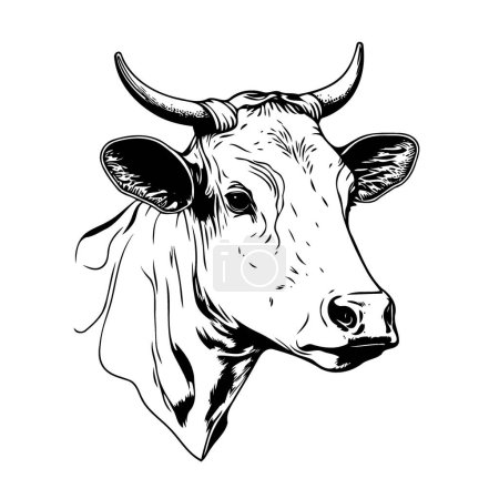 Téléchargez les illustrations : Minimalist lineart style symbol with cow animal head for logo or illustrating livestock farming themes - en licence libre de droit