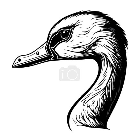 Illustration for Vector illustration of animal head goose a waterfowl bird species of the family Anatidae - Royalty Free Image