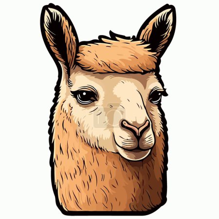 Illustration for Mammal animal head llama colorful vector illustration - Royalty Free Image