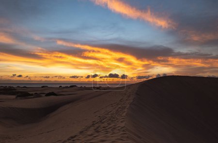Téléchargez les photos : Maspalomas Dunes photographed at sunrise golden hour. Gran Canaria, Spain - en image libre de droit