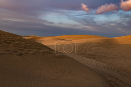 Téléchargez les photos : Maspalomas Dunes photographed at sunrise golden hour. Gran Canaria, Spain - en image libre de droit