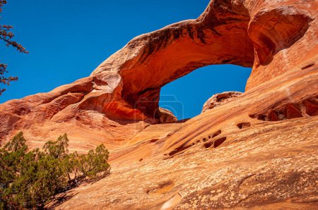 Téléchargez les photos : Une belle arche naturelle dans le lointain canyon de crotale du Colorado. - en image libre de droit