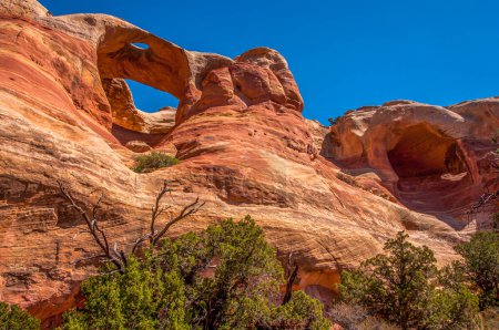Téléchargez les photos : Vue de quelques arches spectaculaires dans le canyon de serpent à sonnettes du Colorado. - en image libre de droit