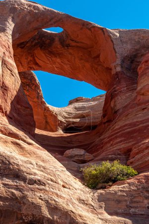 Téléchargez les photos : Une belle arche naturelle dans un canyon éloigné du Colorado. - en image libre de droit