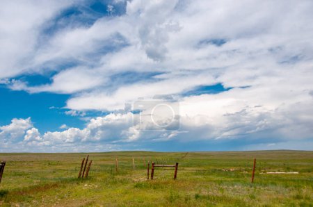 Téléchargez les photos : Photographie des vastes prairies de Pawnee dans le nord-est du Colorado sous des cieux d'été brillants. - en image libre de droit